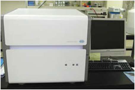 Real-time Quantitative PCR