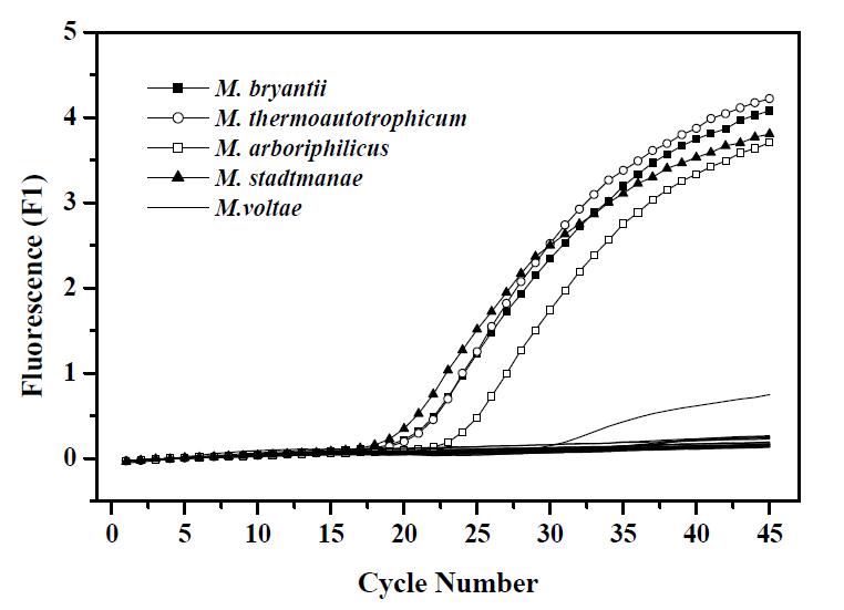 28 Archaea DNA에 대한 QPCR과 MBT set을 사용한 specificity 검증 실험.