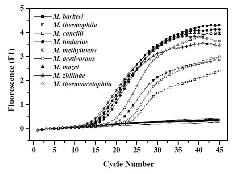 28 Archaea DNA에 대한 QPCR과 MSL set을 사용한 specificity 검증 실험