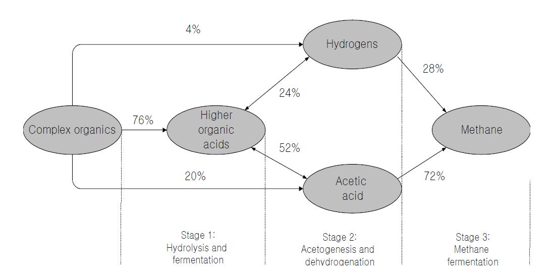 혐기소화 공정의 단계