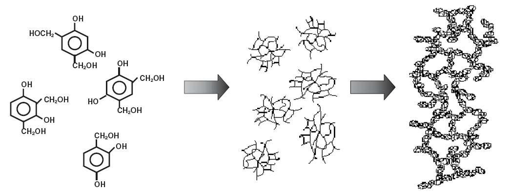 Resorcinol-Formaldehyde monomers의 성장