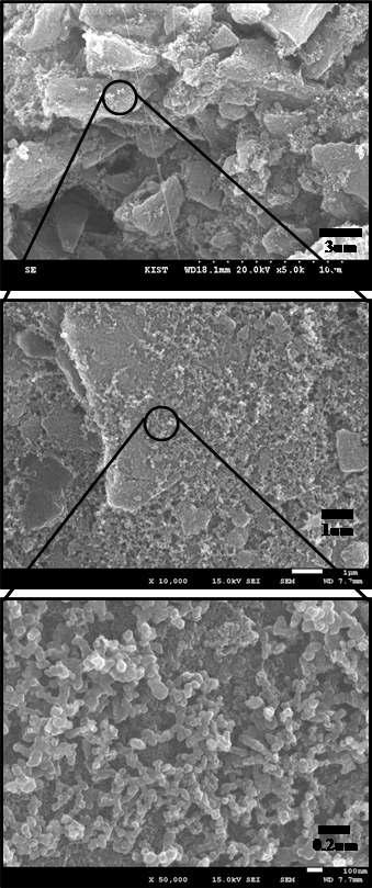 Carbon aerogel 전극의 SEM 이미지