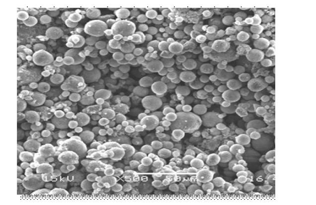 노즐형으로 제조된 과립상의 SEM사진