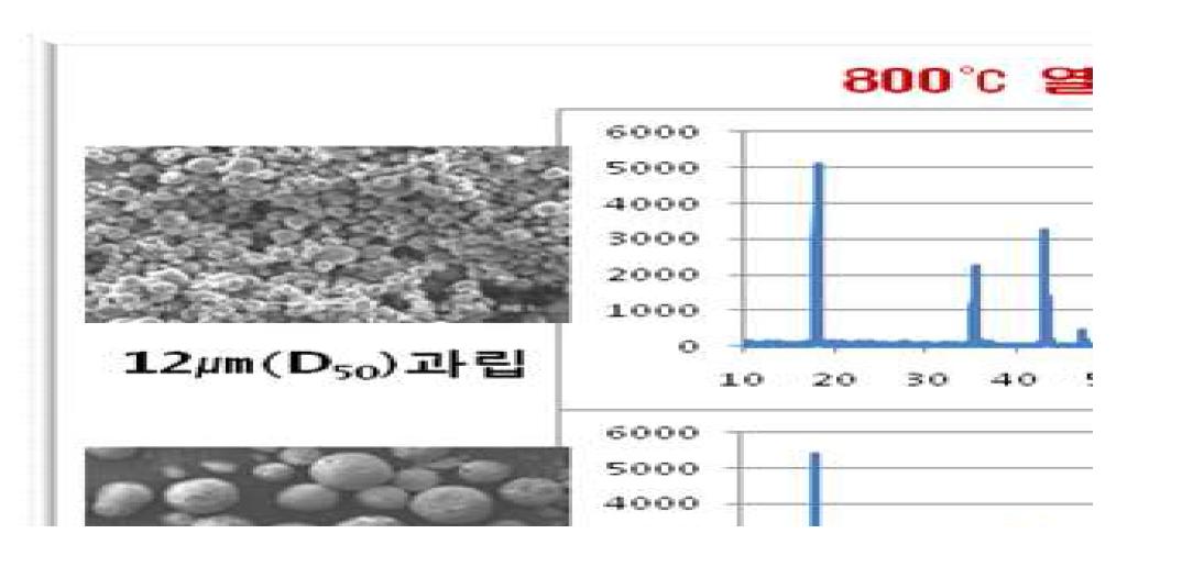 디스크형 및 노즐형에서 제조된 과립의 온도별 LTO합성 SEM 및 XRD