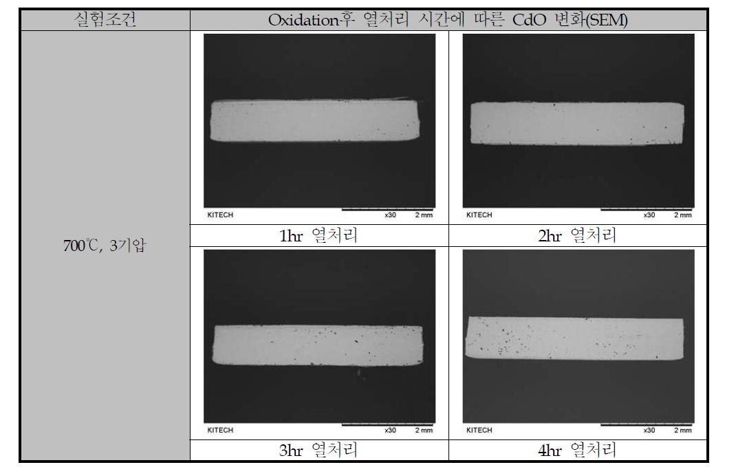 열처리시간에 따른 Ag-Cd alloy의 cross section(SEM)