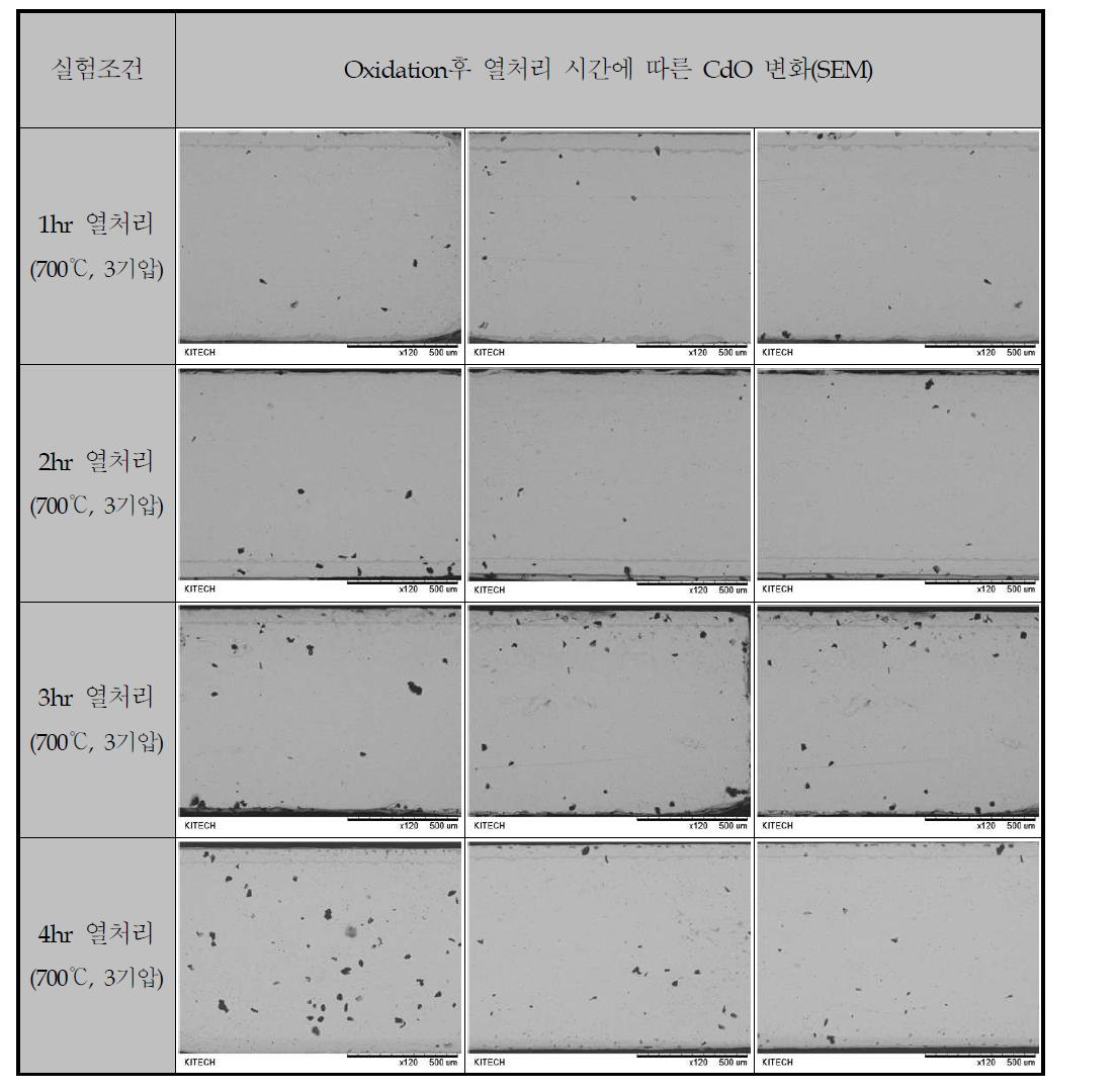 열처리시간에 따른 Ag-Cd alloy의 cross section(SEM)