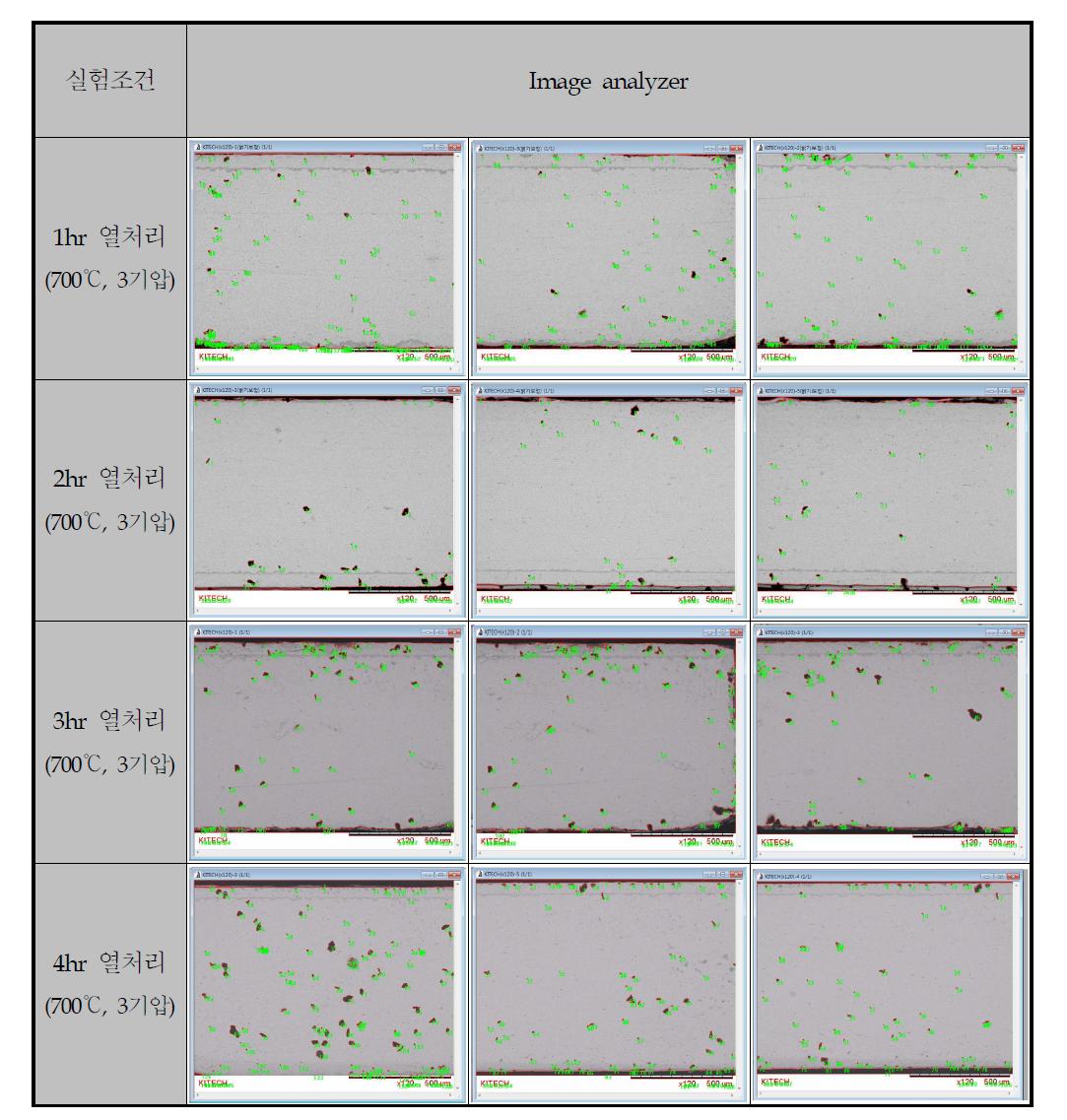 Image analyzer를 통한 O2 산화 농도 분석