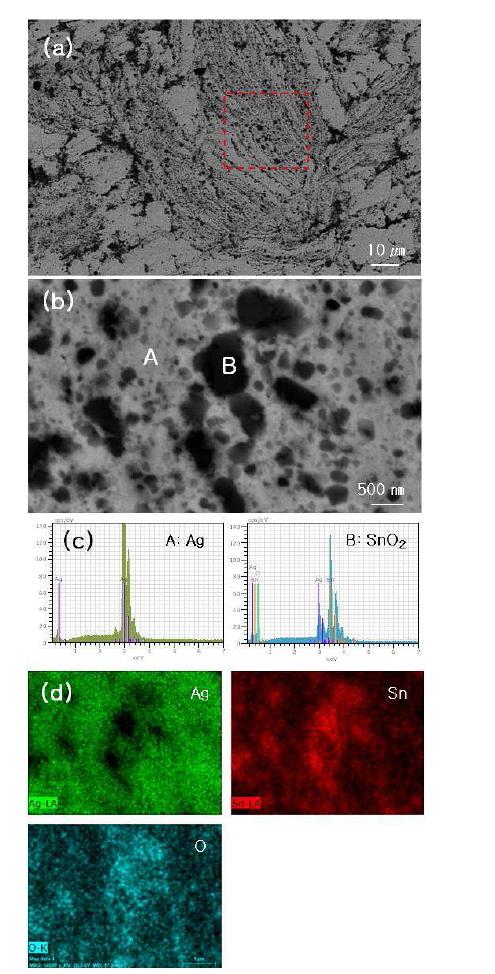 (a) 자기펄스 압축성형법에 의해 제조된 Ag-15Wt%SnO2 접점소재의 후방산란전자 주사 전자현미경 사진, (b) 그림 79(a)의 고배율 사진, (c) 그림 79(b)의 A와 B영역에서 얻어진 EDS결과, (d) EDS mapping 결과