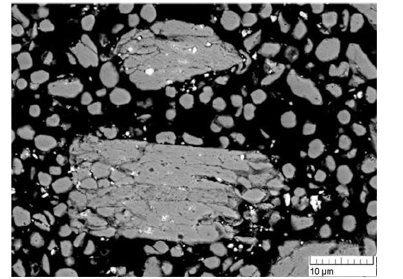 Ag-2wt%SnO2-10wt%Bi2O3 분말의 후방산란전자 주사전자현미경 미세조직
