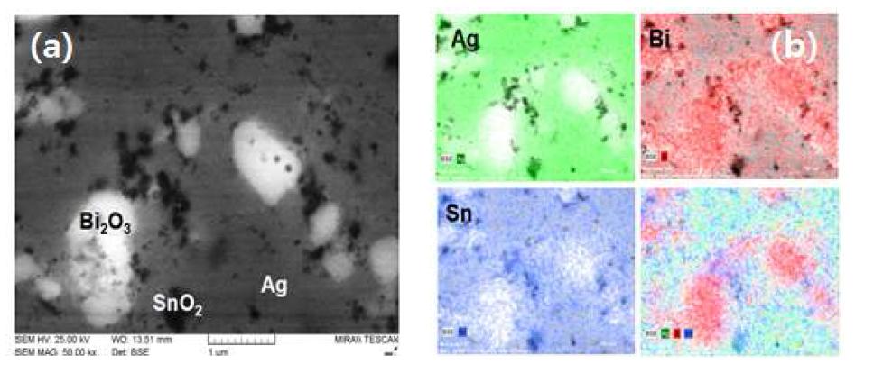 (a) 온간압출법에 의해 제조된Ag-2wt%SnO2-10wt%Bi2O3 접점 소재의 후방산란전자 주사전자현미경 사진 (b) EDS mapping. 결과