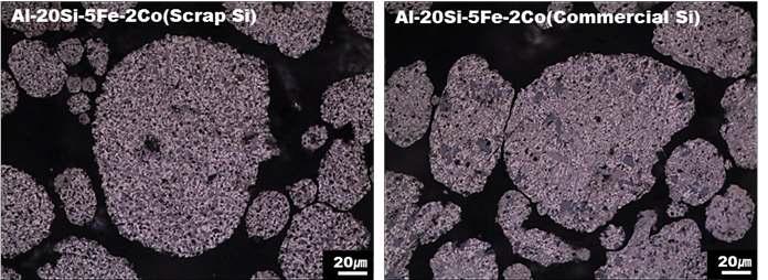 실리콘 종류에 따른 가스분무된 Al-20Si5Fe-2Co 합금분말의 단면 미세조직