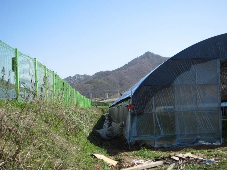 태양광 차광을 위해 비닐하우스 2동 을 설치함.