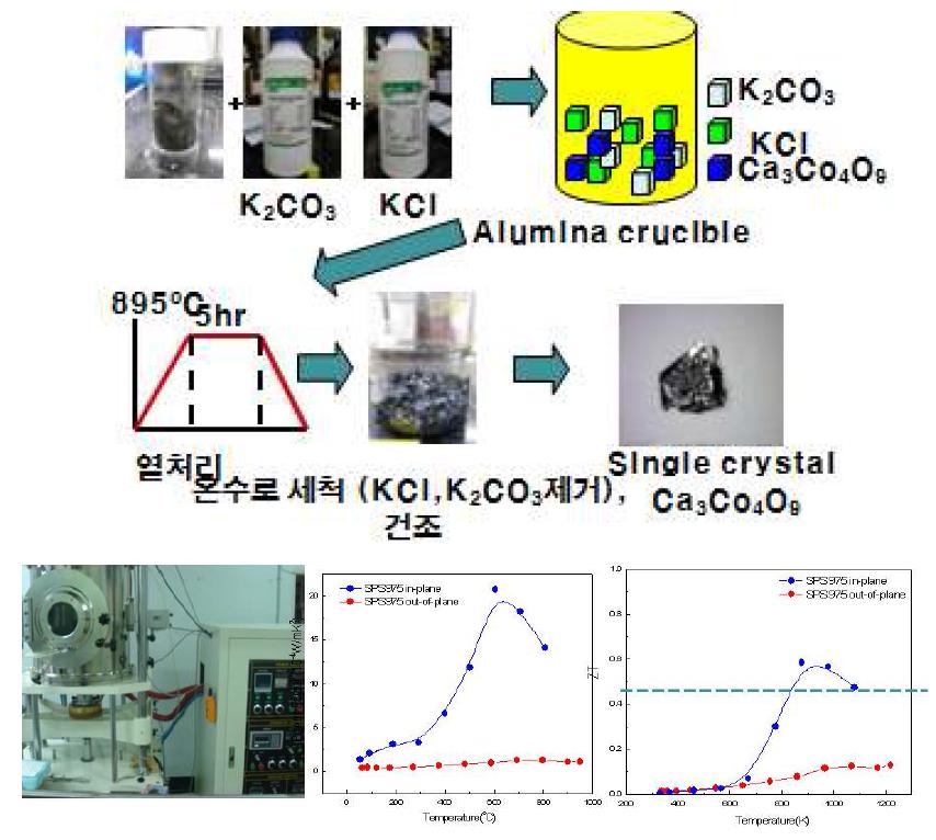 p-형: Ca3Co4O9 단결정분말합성 및 SPS 소결