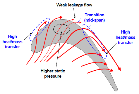 Expected flow characteristics on the blade tip