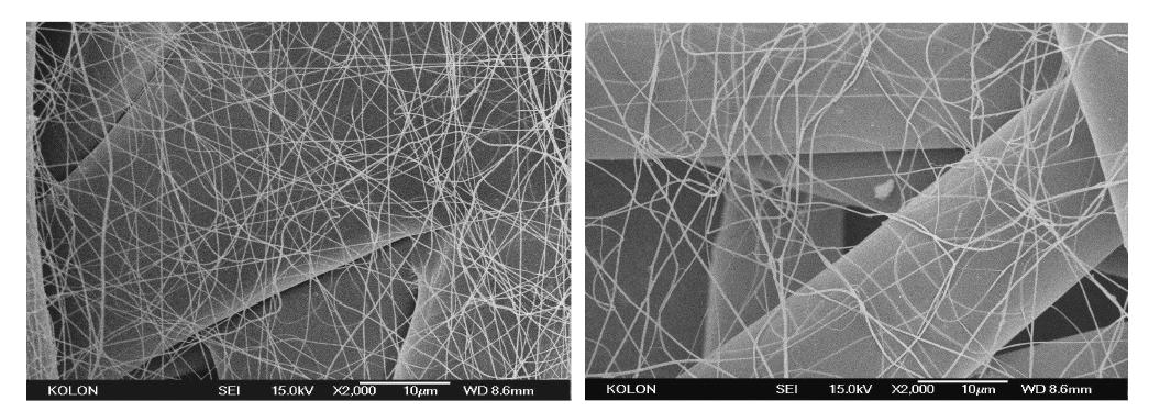 전기방사된 Nylon 6 나노섬유의 주사전자현미경 사진