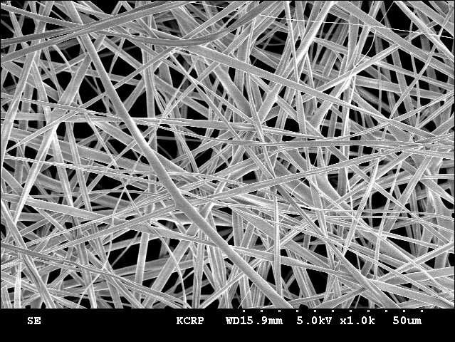 폴리이미드 나노섬유 웹의 SEM 사진