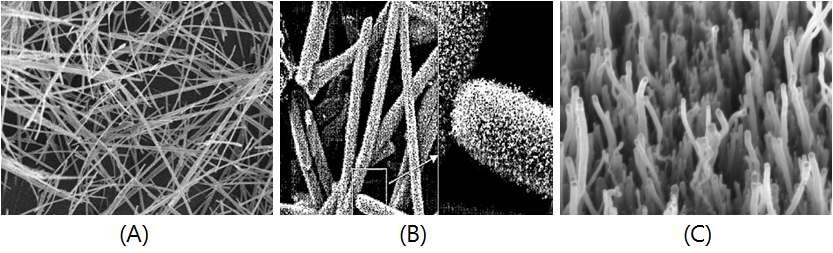 다양한 탄소 나노 섬유의 형상; (A) 유기섬유 유래 탄소 나노 섬유 (Organic fiber based Carbon Nano Fiber), (B) 탄소 나노 튜브(Carbon Nano Tube), (C) 기상 성장 탄소 나노 섬유(Vapor Grown Carbon Nano Fiber)