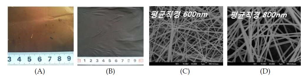 PAN 기반의 탄소나노섬유 사진; (A) PAN 전구체 나노웹의 안정화, (B) 탄화 공정을 거처 제조된 시료의 외관사진 및 (C) PAN 전구체 나노웹의 주사전자 현미경 사진, (D) PAN 탄소나노섬유의 주사전자 현미경사진.