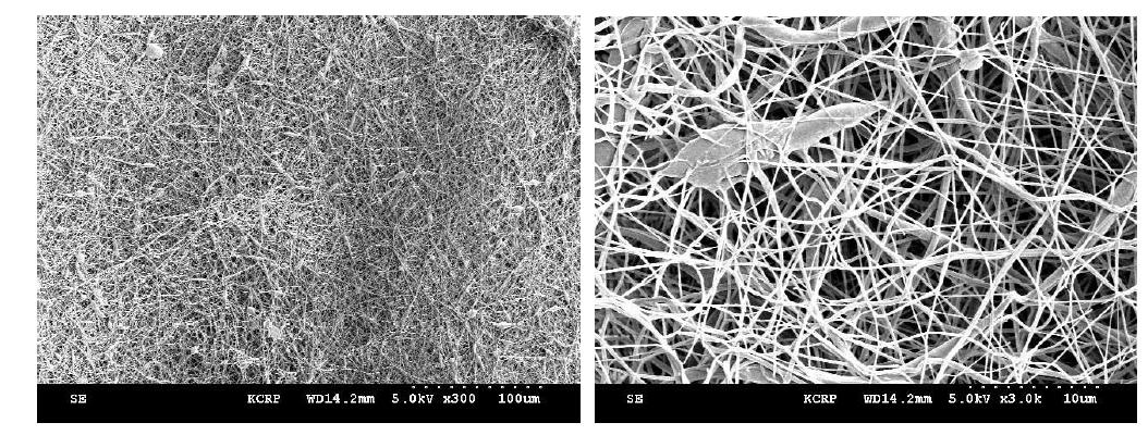 첨가제 함유(1.0%) PVDF 나노섬유 웹의 SEM 사진 (좌 : 300배, 우 : 3,000배)