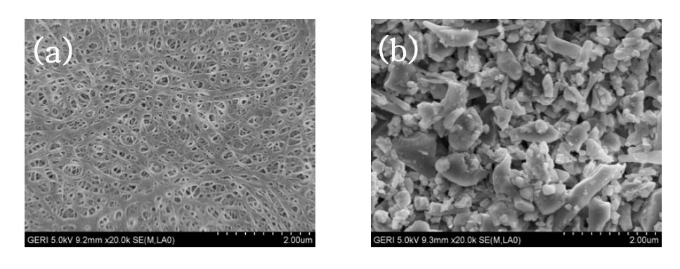 Si3N4 코팅 분리막의 HR-SEM 이미지 (a) PE separator; (b) Si3N4-coated separator (SCS-2).