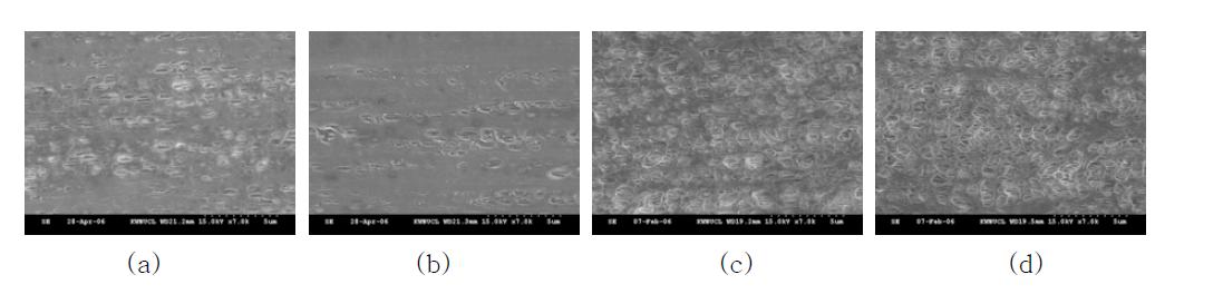 Effect of MI on surface pore structure(a)outer surface (MI=0.3) (b)inner surface (MI=0.3)