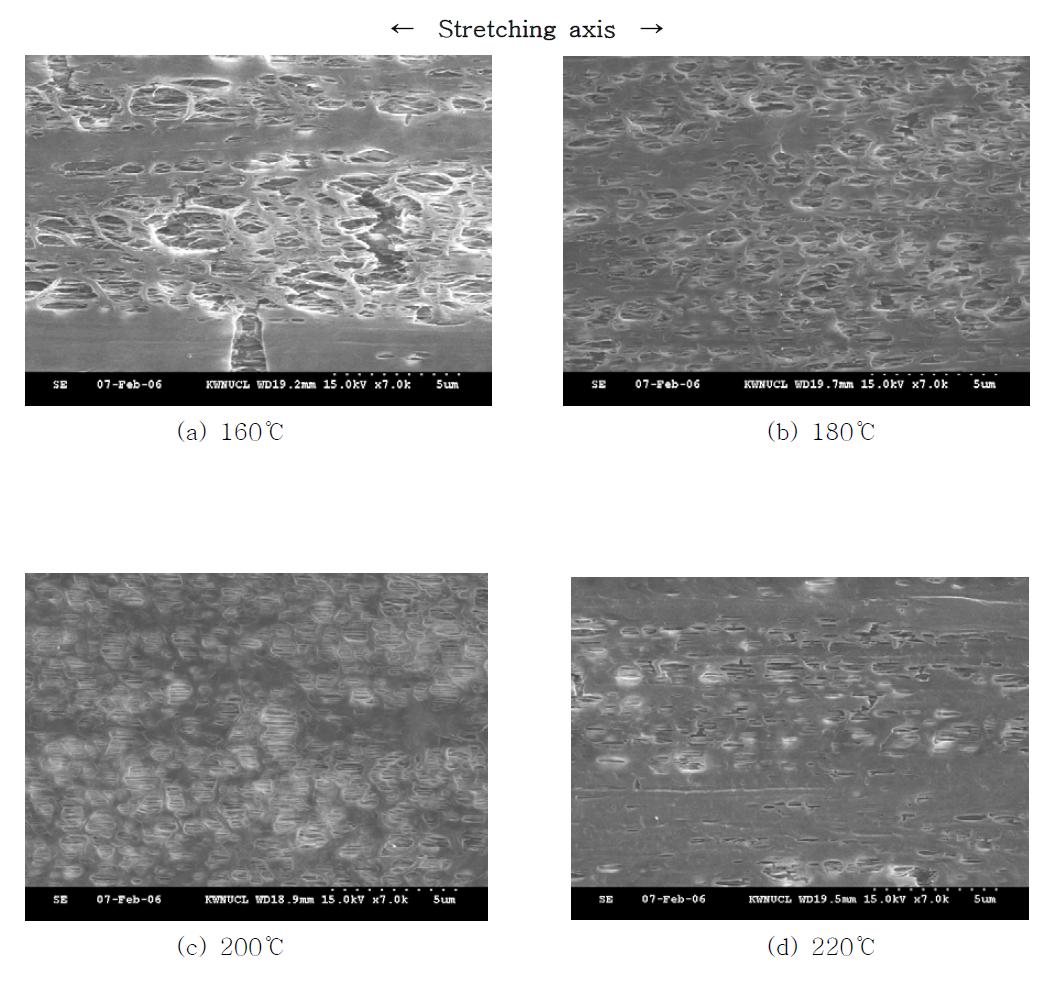 Effect of die temperature on porous structure