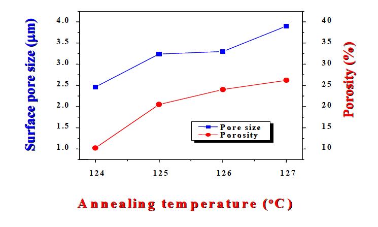 Effect of annealing temperature on porous structure