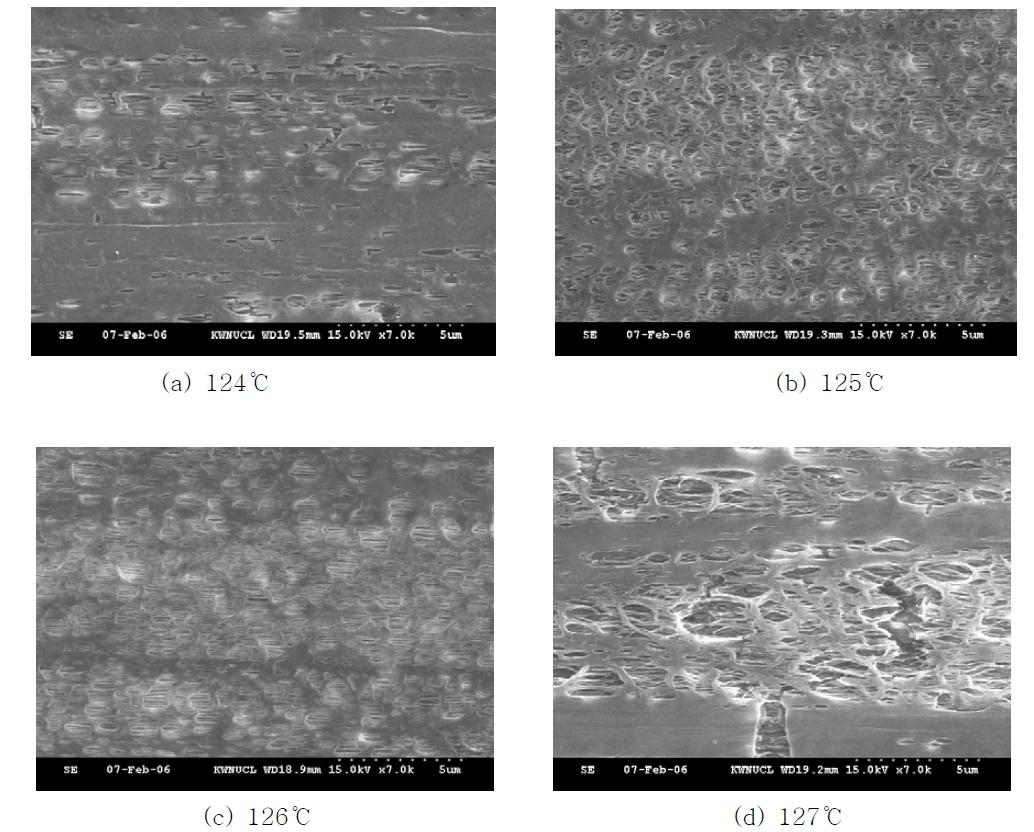 Effect of annealing temperature on pore size and porosity