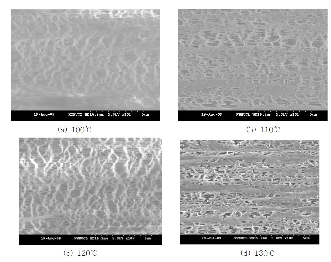 고온 연신온도에 따른 분리막의 기공구조 변화
