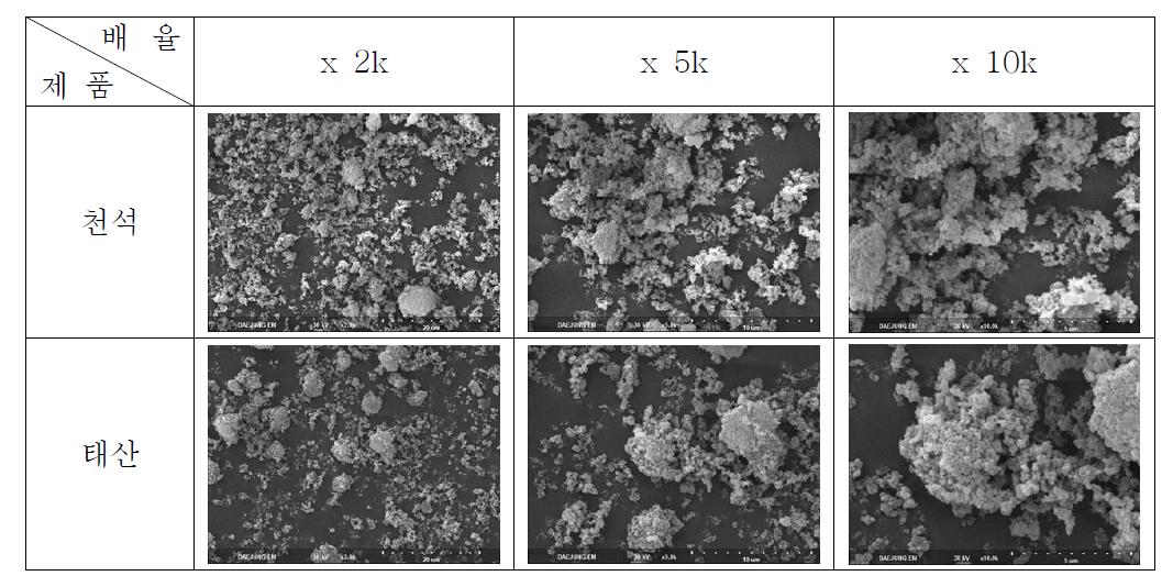 탄산칼슘 제품별 SEM image 비교