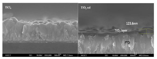 FTO 전도막에 형성된 TiO2 산화물 박막의 FE-SEM 사진