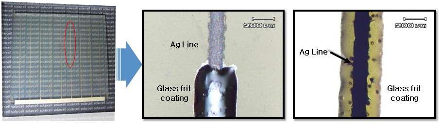 대면적(10x10 cm2) 셀 Silver와 글라스 프릿 패턴을 전자현미경으로 측정
