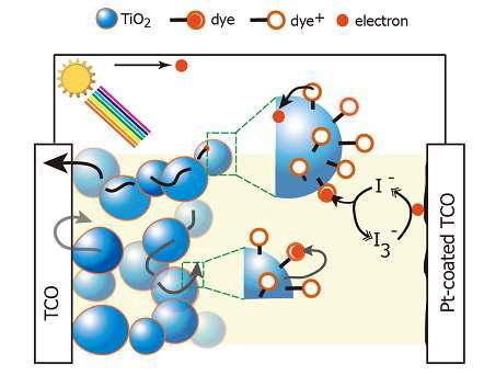 염료감응 태양전지 구조 및 원리