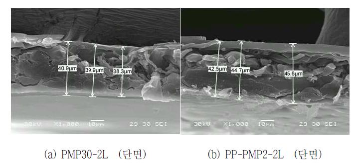 PMP30과 PP-PMP2의 Ionomer 함침 후 단면사진