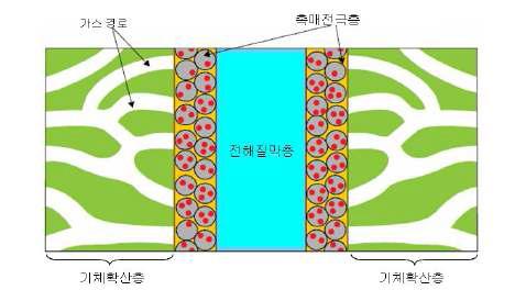 막-전극접합체의 구조 및 기능