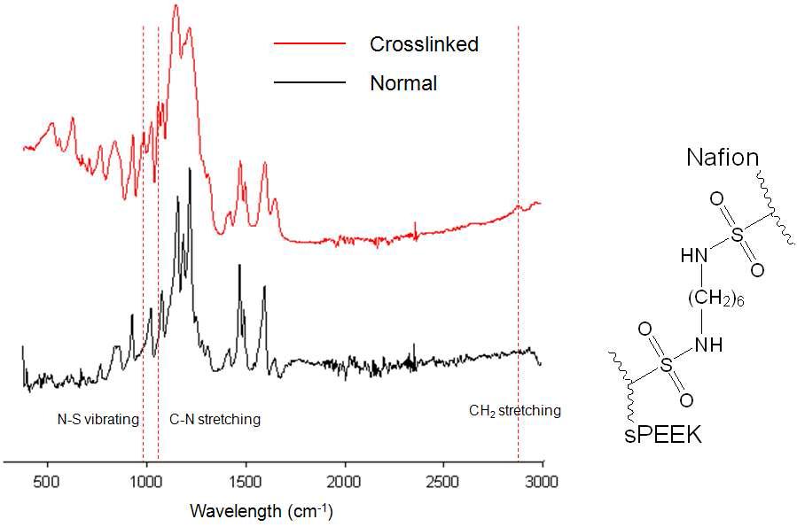 가교된 sPEEK-Nafion 고분자의 IR 그래프 (좌, red), sPEEK-Nafion 혼합 고분자의 IR 그래프 (좌, black), 가교된 sPEEK-Nafion 고분자의 화학구조식 (우)