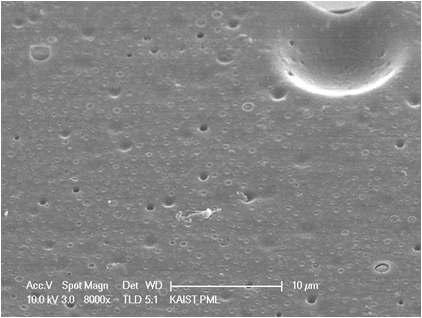 계면 접착층 코팅막 표면 morphology
