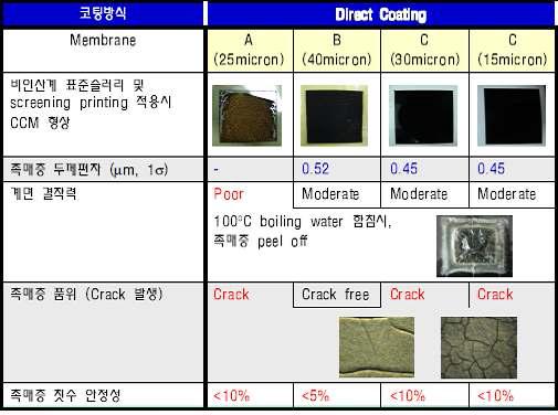 Direct coating 법 적용시 CCM 특성