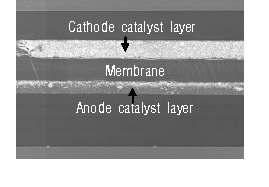 비인산계 CCM의 단면 SEM image