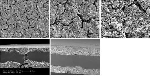 비산도핑계 CCM 제작능력 평가시 제조 셀 촉매층 표면 및 CCM 단면 SEM 사진