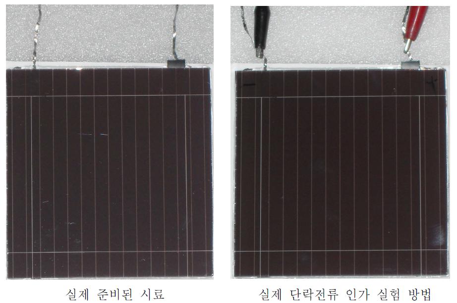 실험에 사용된 모듈