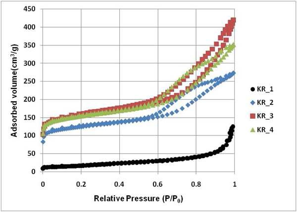 Pore analysis of prepared carbon catalyst