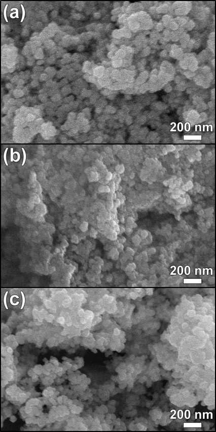 합성한 분말의 SEM 이미지 ((a) precursor, (b) 700 ℃ 하소분말, (c) 900 ℃ 하소분말)
