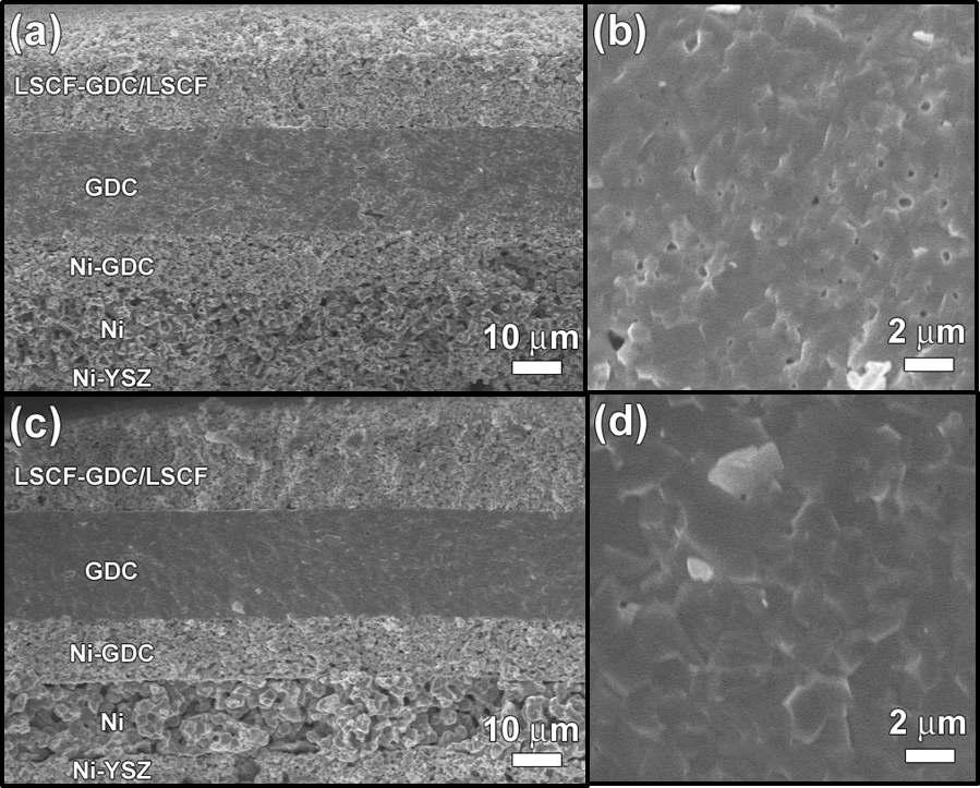 Cross-sectional SEM images of the cell structures and GDC electrolyte layers: (a), (b) the cell prepared by sintering of electrolyte at 1350 °C; (c), (d) the cell prepared by the sintering of electrolyte at 1400 °C.