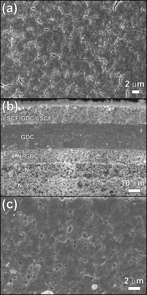 Top-view and cross-sectional SEM images of the cell prepared by sintering of electrolyte at 1300 °C: (a) Top-view SEM image of GDC electrolyte layer; (b) cross-sectional SEM image of the cell; and (c) cross-sectional SEM image of GDC electrolyte layers.
