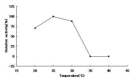 Bacillus cereus HJM-327의 온도에 따른 효소활성