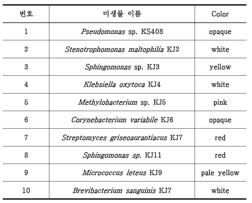 젓갈로부터 분리한 alginate lyase 생산균주의 동정 및 균의 색깔