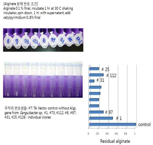 Cetylpyridinium chloride를 이용한 alginate lyase 활성 테스트