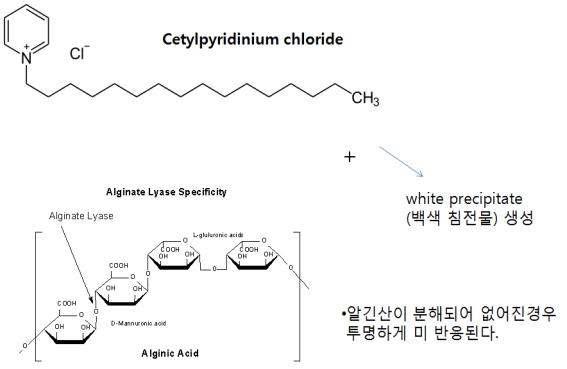 Cetylpyridinium chloride를 통한 alginate lyase의 반응