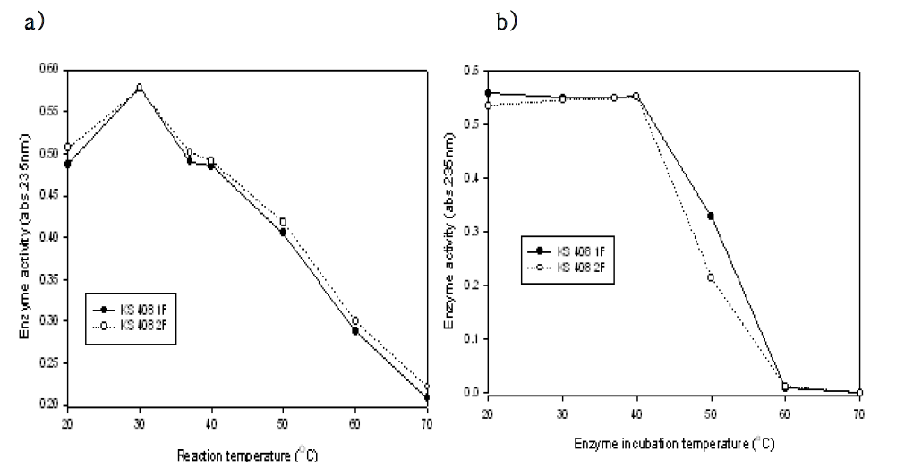 정제된 KS408 lyase 효소활성에 미치는 온도의 영향 및 효소의 온도 안정성